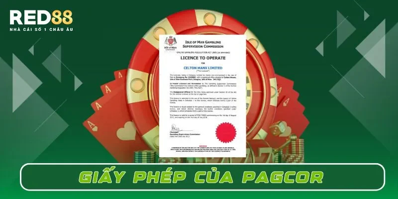 Tổng hợp giấy phép hoạt động